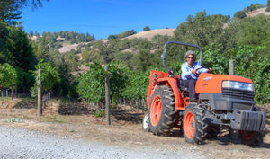 (Part 1 of 2) Our Conversation with Theodora Lee, Founder of Theopolis Vineyards
