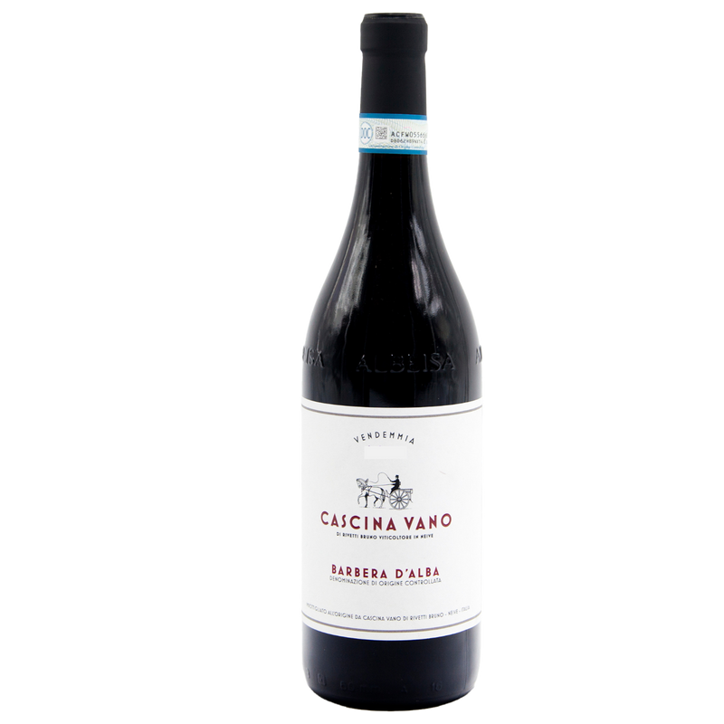 2023 Barbera d'Alba DOC
